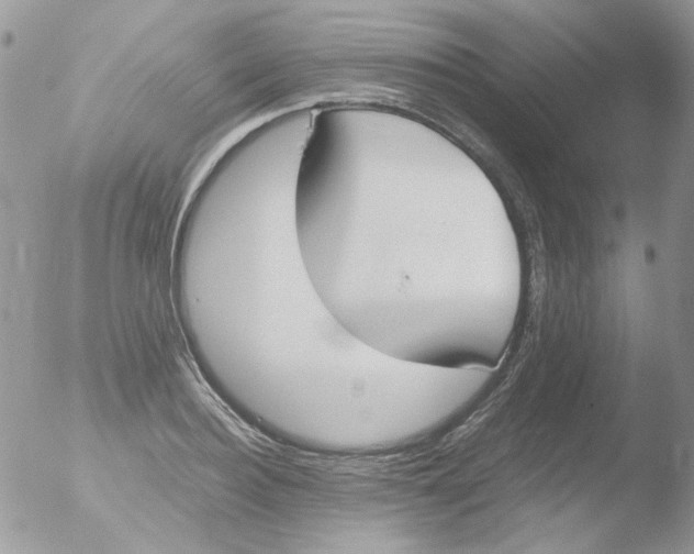 X0000051910940200507152027