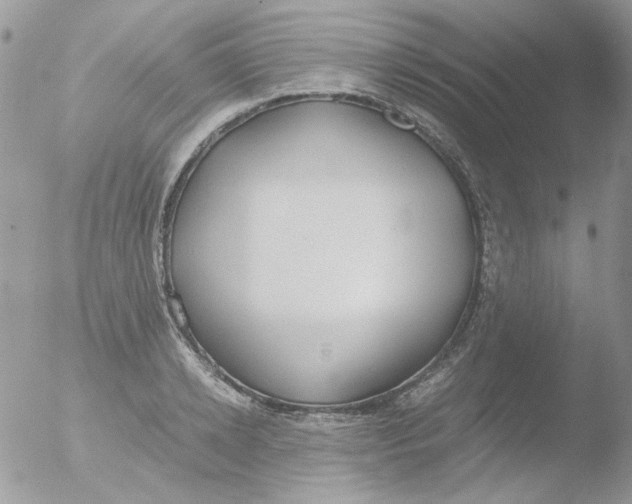 X0000051910942200507152027