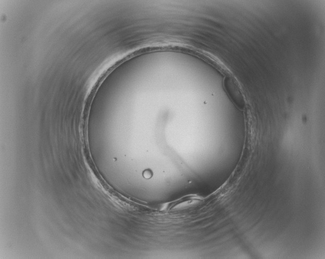 X0000051910943200507152027