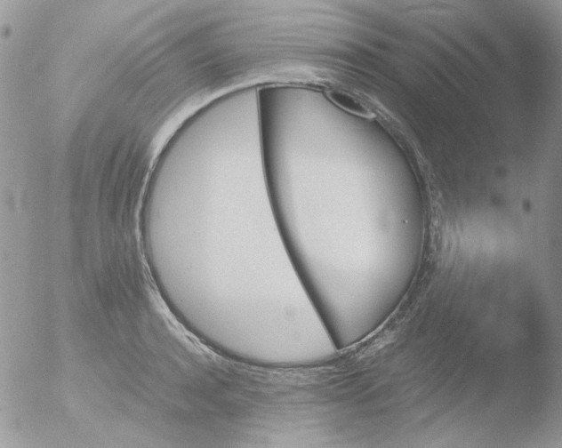 X0000051910944200507152027