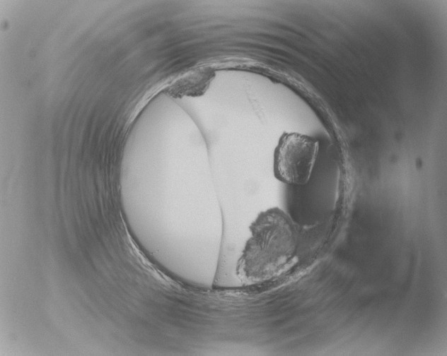 X0000051910945200507152027