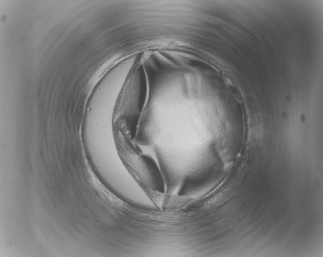 X0000051910946200507152027