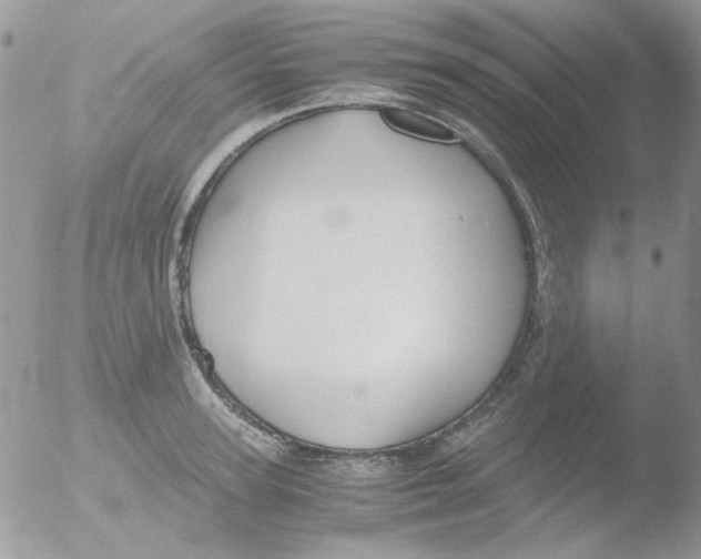 X0000051910947200507152027