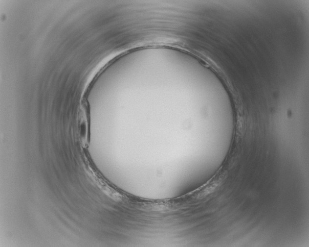 X0000051910948200507152027