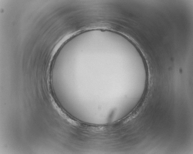 X0000051910949200507152027