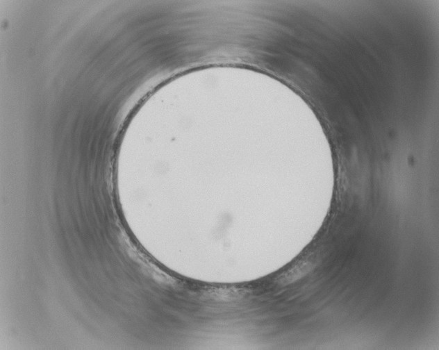 X0000051910950200507152027