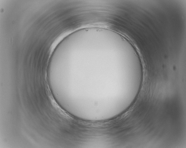 X0000051910952200507152027