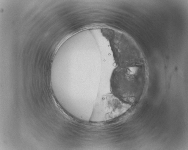 X0000051910953200507152027