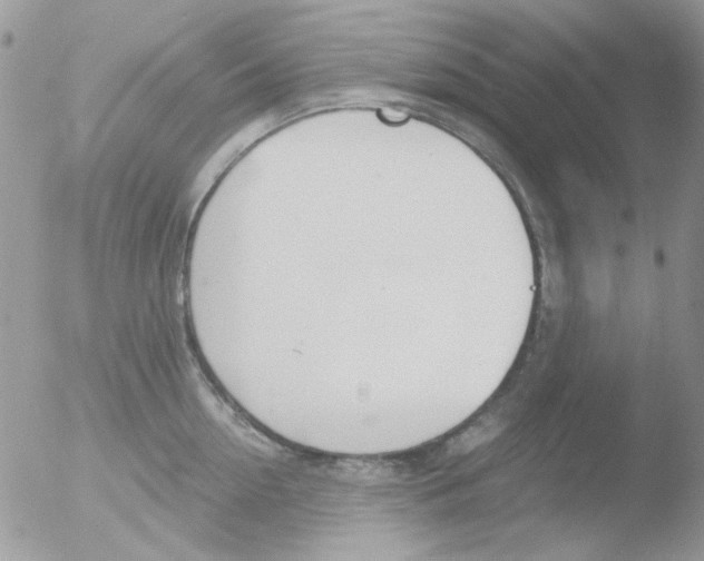 X0000051910954200507152027