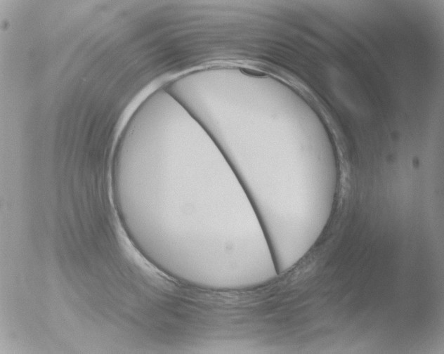 X0000051910955200507152027