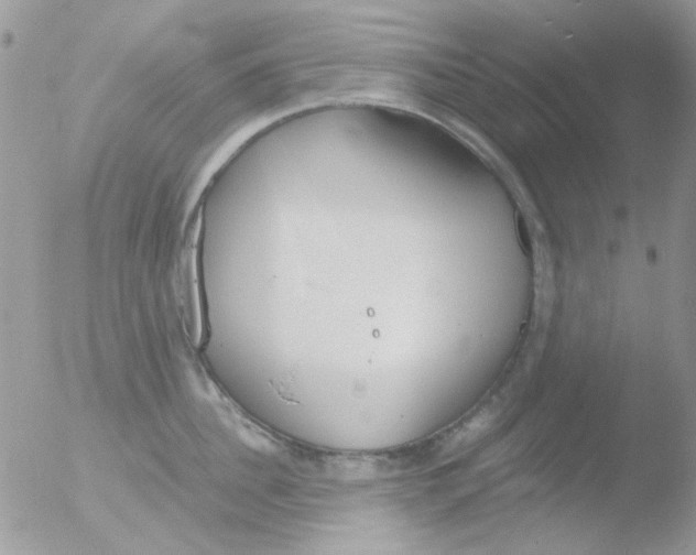 X0000051910956200507152027