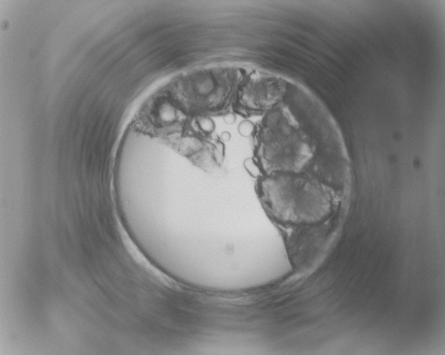 X0000051910957200507152027