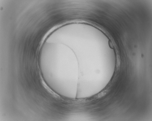 X0000051910958200507152027