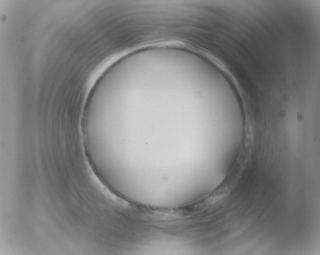 X0000051910959200507152027