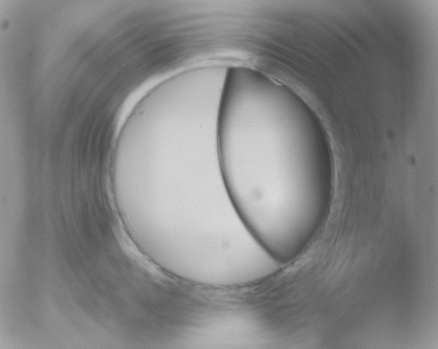 X0000051910960200507152027