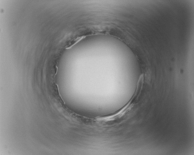 X0000051910961200507152027