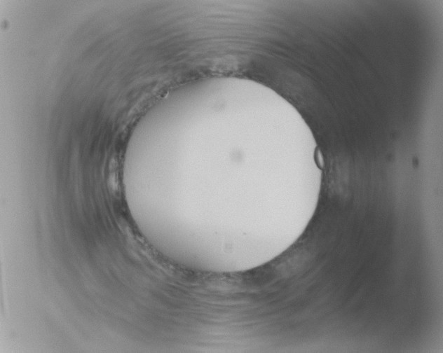 X0000051910962200507152027