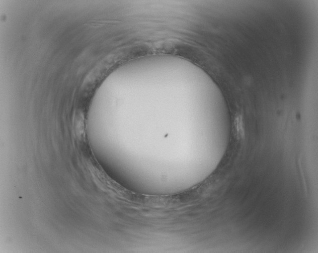 X0000051910963200507152027