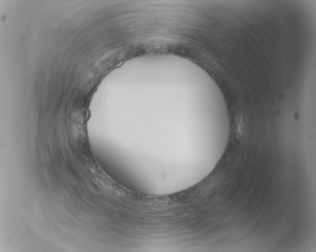 X0000051910964200507152027