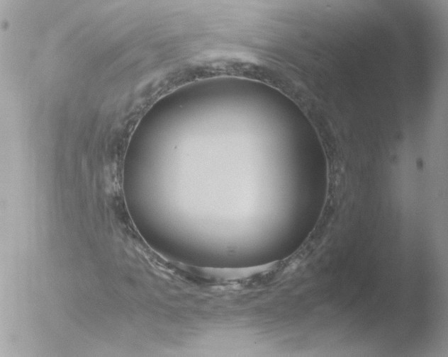 X0000051910965200507152027