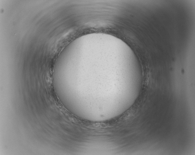 X0000051910966200507152027