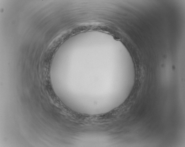 X0000051910967200507152027