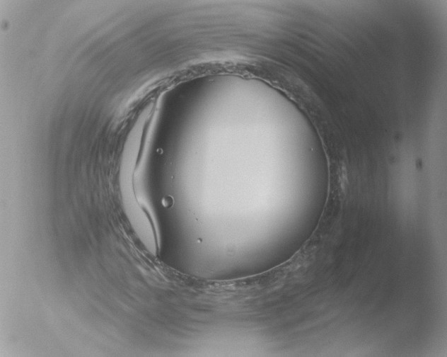 X0000051910968200507152026