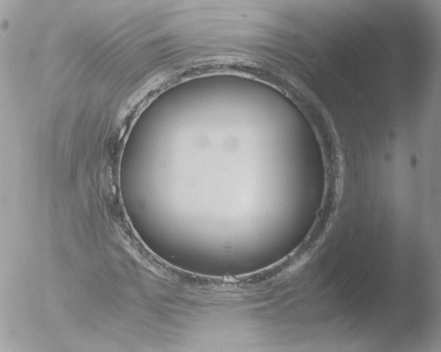 X0000051910969200507152026