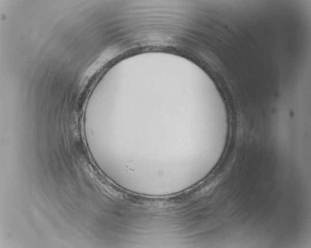 X0000051910970200507152026