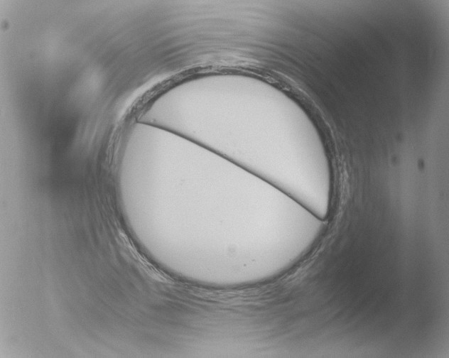 X0000051910971200507152026