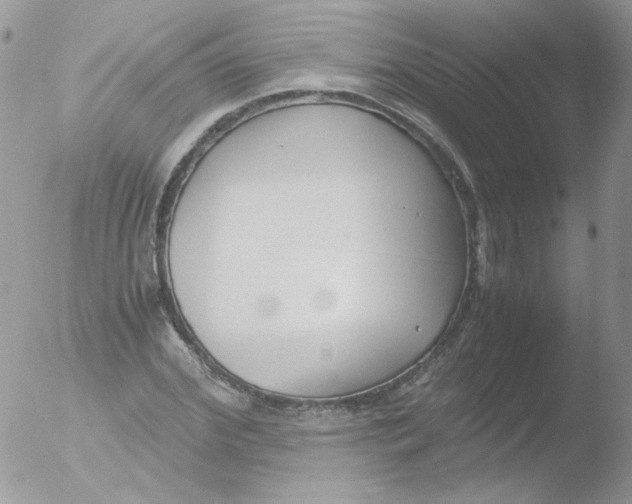 X0000051910972200507152026