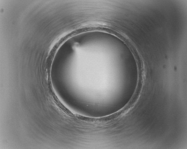 X0000051910973200507152026