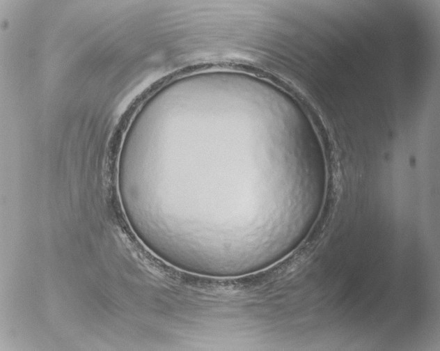 X0000051910975200507152026