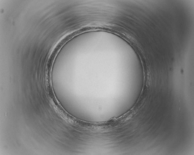 X0000051910976200507152026