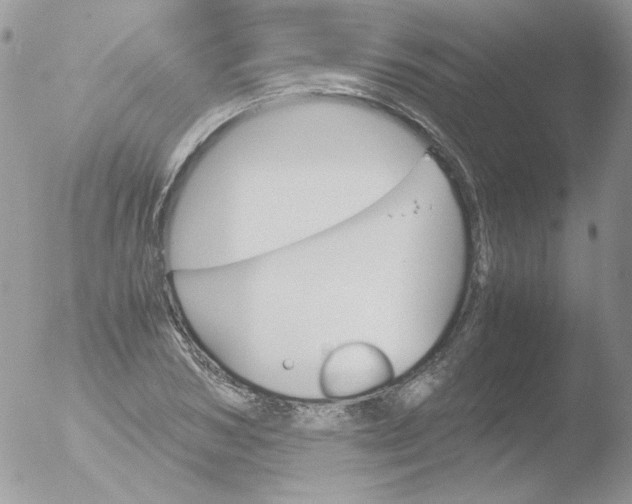 X0000051910978200507152026