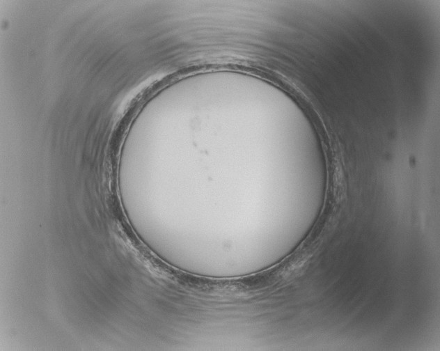 X0000051910979200507152026