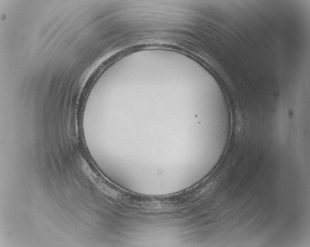 X0000051910980200507152026