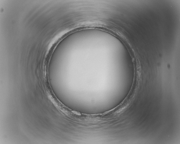 X0000051910981200507152026