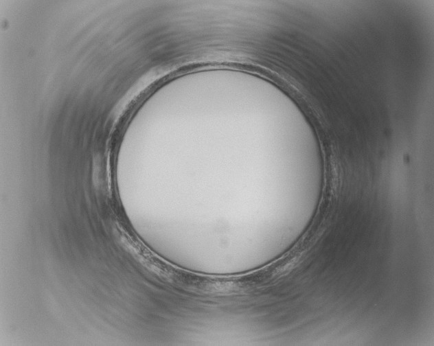 X0000051910982200507152026