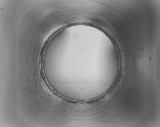 X0000051910983200507152026