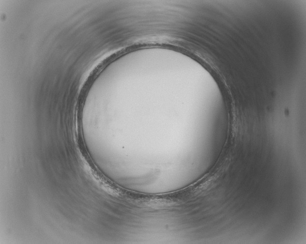 X0000051910984200507152026