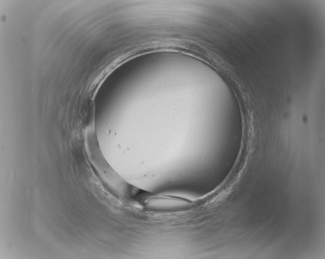 X0000051910985200507152026