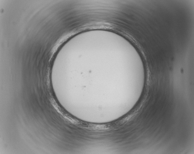 X0000051910986200507152026