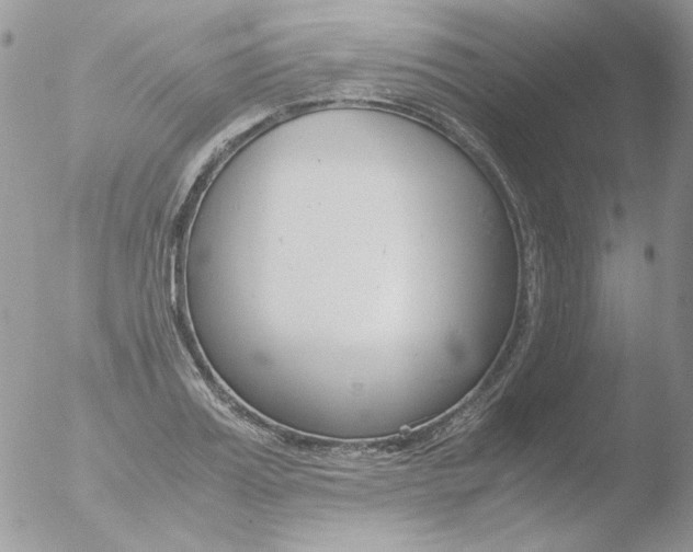 X0000051910987200507152026