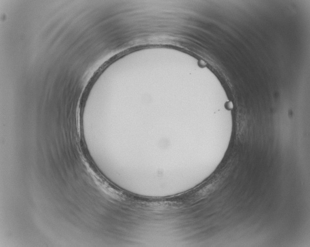 X0000051910988200507152026