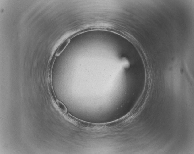 X0000051910989200507152026