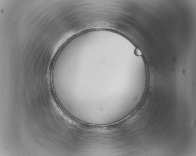 X0000051910990200507152026