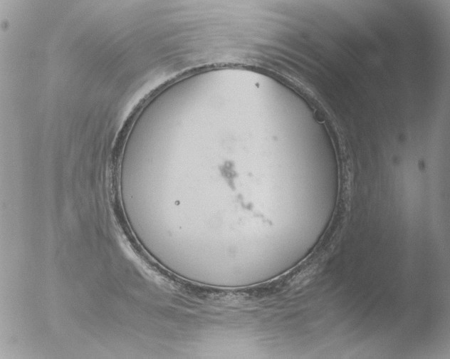 X0000051910991200507152026