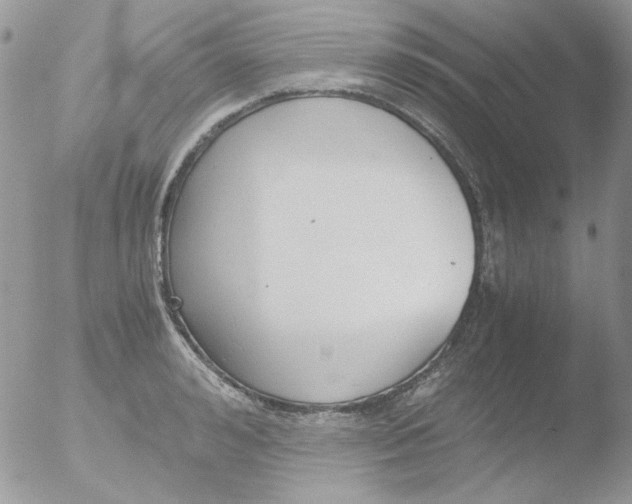 X0000051910992200507152026