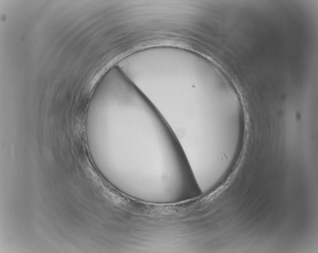 X0000051910993200507152026